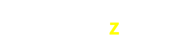 339z.com